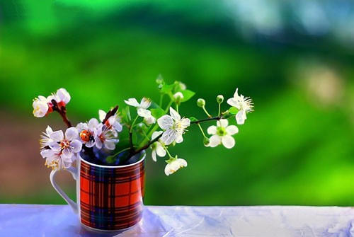 8888888888.jpg 8888888888.jpg