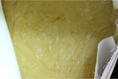 海翔之星熱熔膠水